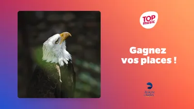Top Music vous offre vos pass famille pour la Volerie des Aigles !