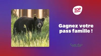 Gagnez un pass famille pour le Parc animalier de Sainte Croix !