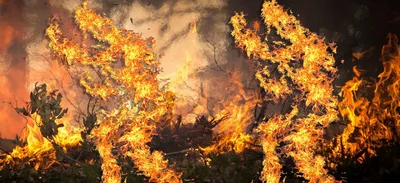 Feux de forêt : la Gironde placée en vigilance rouge, les...