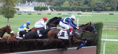 Hippisme. Suppression du galop sur plusieurs hippodromes :  « C'est...