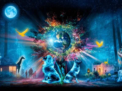 Alouette vous offre 4 entrées pour les Illuminations sauvages à...