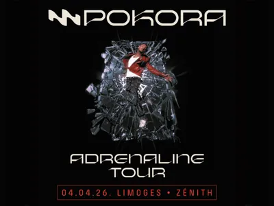 Gagnez vos places pour le concert de Matt Pokora au Zénith de...