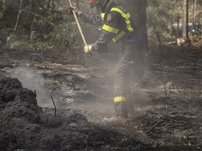 Ardennes - Incendies en France : de nouveaux renforts arrivent sur...