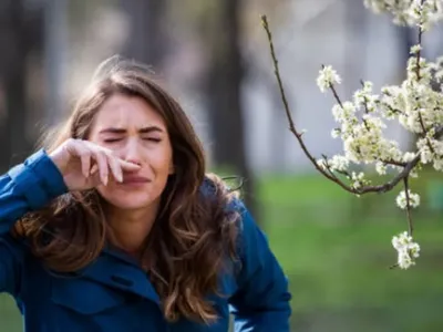 La saison des pollens de bouleau démarre avec près de 3 semaines...