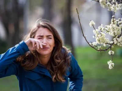 Alerte aux pollens de graminées : un pic est attendu ce jeudi