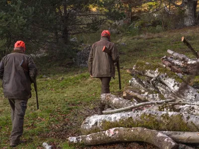 Ardennes – Ouverture officielle de la saison de chasse ce dimanche