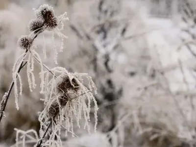 Retour du froid dans la région : vigilance jaune neige et verglas...