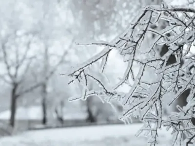Plan grand froid : niveau jaune activé dans les Ardennes