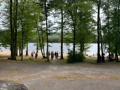 Ardennes - Baignade interdite sur les lacs de Bairon et des...