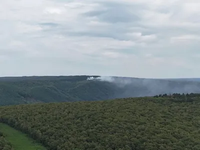 Ardennes - Feu de forêt : Un hectare ravagé par les flammes à...