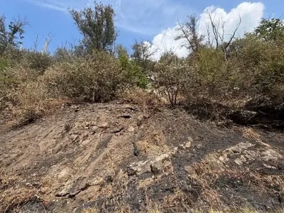 Ardennes - Monthermé : le feu de forêt est désormais totalement éteint