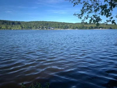 Ardennes - Éclipse solaire : une soirée en kayak organisée sur le...