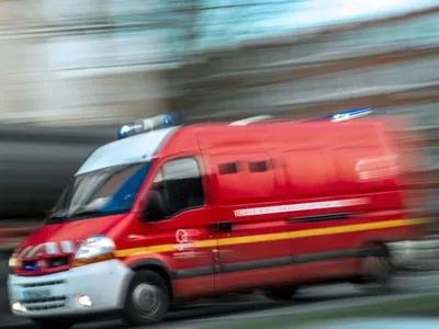 Un cheval blessé secouru d’un cours d’eau par les pompiers
