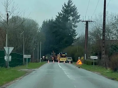 60 bovins sauvés des flammes par des témoins