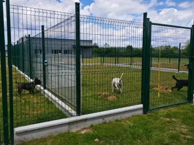Ardennes - Le refuge la LISA est saturé face aux abandons
