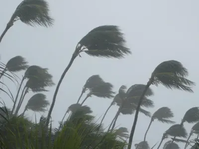 Et si une tempête portait votre prénom ? Météo-France lance un...
