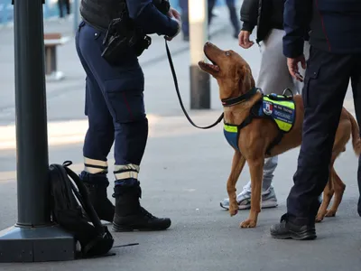 Opération de sécurisation en gare de Charleville-Mézières