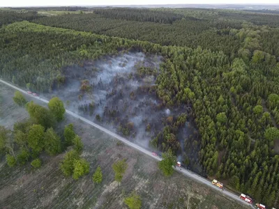 Feu de forêt : 9 hectares brûlés, près de 80 pompiers mobilisés