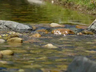 Ardennes - La sécheresse bouleverse les activités touristiques