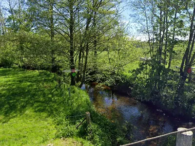 Ardennes - La consommation des poissons interdite dans une rivière...