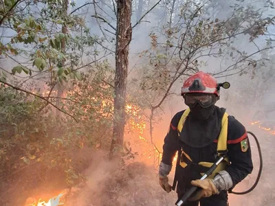 Champagne Ardenne - Les pompiers de la région sont toujours en...