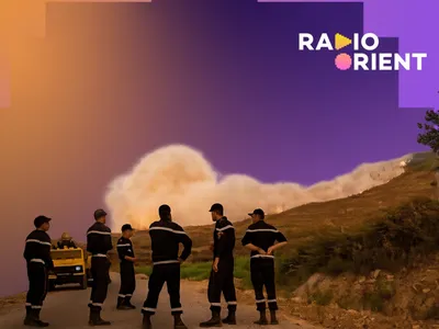 Incendies en Algérie : entre catastrophe climatique et soupçons...
