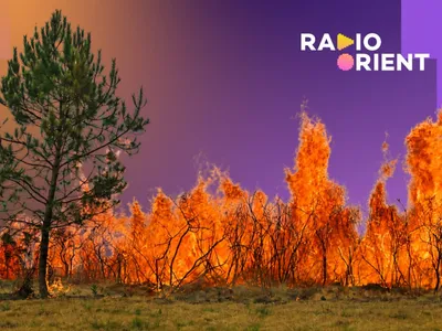 France : la canicule fait son retour, 42 °C attendus et risque...