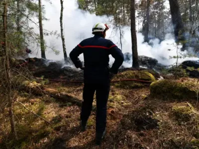 Incendie de Fontainebleau : les pompiers restent mobilisés, quatre...
