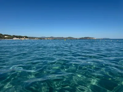 Méditerranée : cultiver pour reconstruire le lien