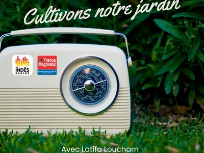 Couscous de saison : marché local et cuisine du Maghreb