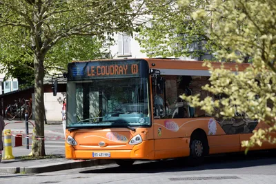 Des filibus tous les jours jusqu'à Noël