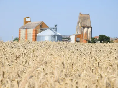 Des mesures "pragmatiques" face à la canicule