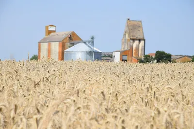 Des mesures "pragmatiques" face à la canicule