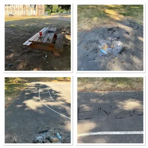 Feux et déchets en tout genre dans le parc municipal