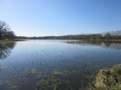 Alerte aux cyanobactéries à Dangeau