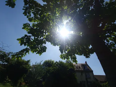 🔊Le mois d'avril a été trop doux et trop sec en Eure-et-Loir