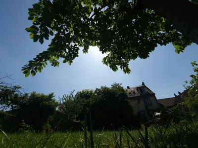 🔊Le soleil fait son retour avec une douceur printanière 