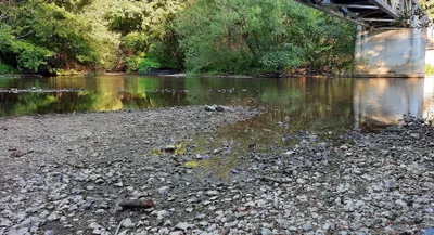 🔊La sécheresse inquiète les pêcheurs