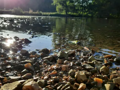 Les mesures de restriction des usages de l'eau évoluent en ce début...
