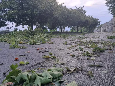Tempête Goretti : Des vents à plus de 100 km/h en Eure-et-Loir