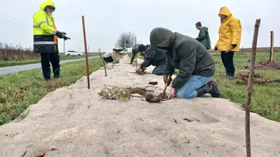 🔊 Silence ça pousse à Orrouer