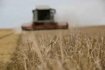 EURE-ET-LOIR - Les agriculteurs invités à suspendre la moisson de...