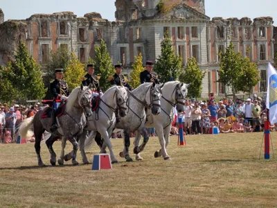 🔊Près de 70 chevaux Percherons samedi à La Ferté-Vidame