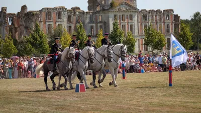 🔊Près de 70 chevaux Percherons samedi à La Ferté-Vidame