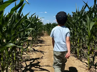 Perdez-vous cet été au labyrinthe du Thimerais