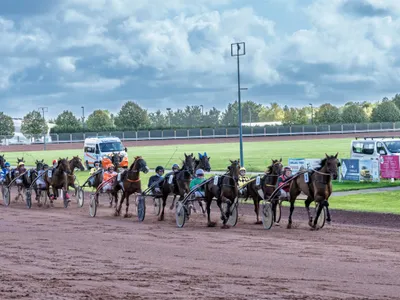 🔊La saison 2026 s’ouvre ce dimanche à l'hippodrome