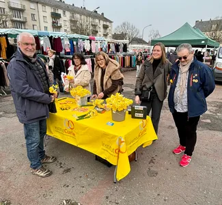 Les jonquilles rapportent 260€ pour la lutte contre le cancer