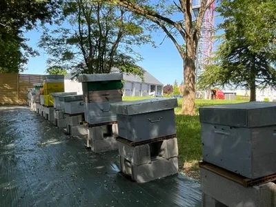 Cette caserne de pompiers "b(u)zz" pour la biodiversité !