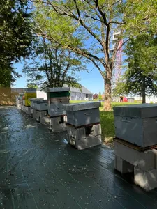 Cette caserne de pompiers "b(u)zz" pour la biodiversité !