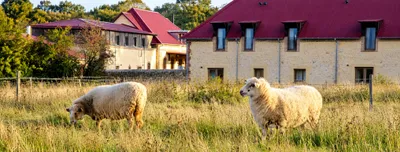 🔊 Grand Jardin, la ferme hôtelière inédite à Lamblore